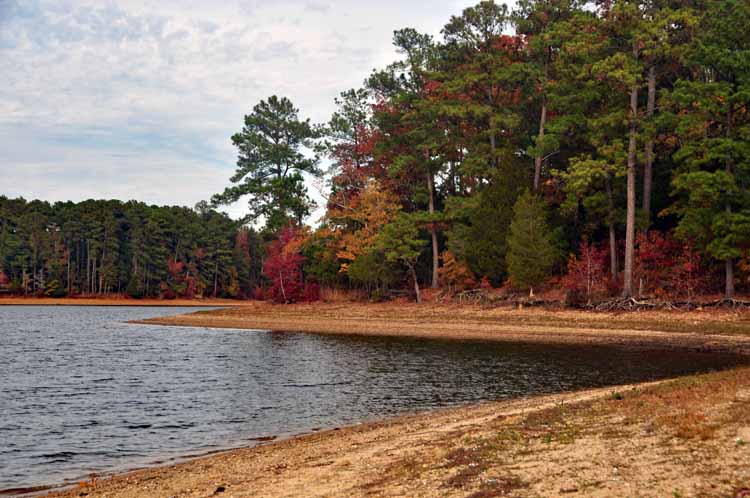 Savannah River Scenic Byway